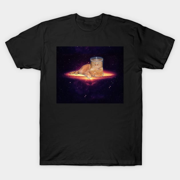 Orange Cat With CD/DVD Cake Box T-Shirt by thebuniverse